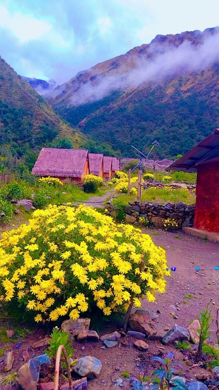 Cabanas Andinas Eco Lodge Mama Andrea Soray Екстериор снимка